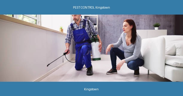 PEST CONTROL Kingstown